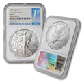 1 oz American Silver Eagle Coin MS-70 G473