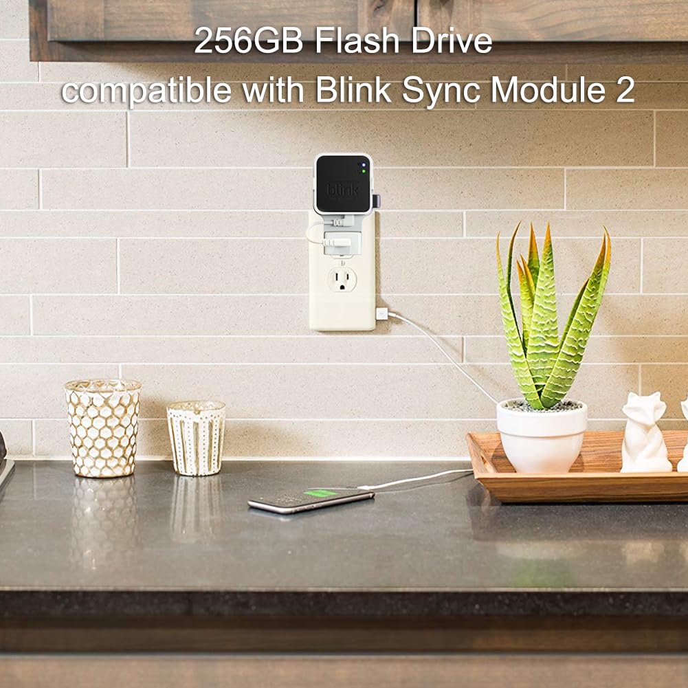 256GB USB Flash Drive with Outlet Wall Mount M178283