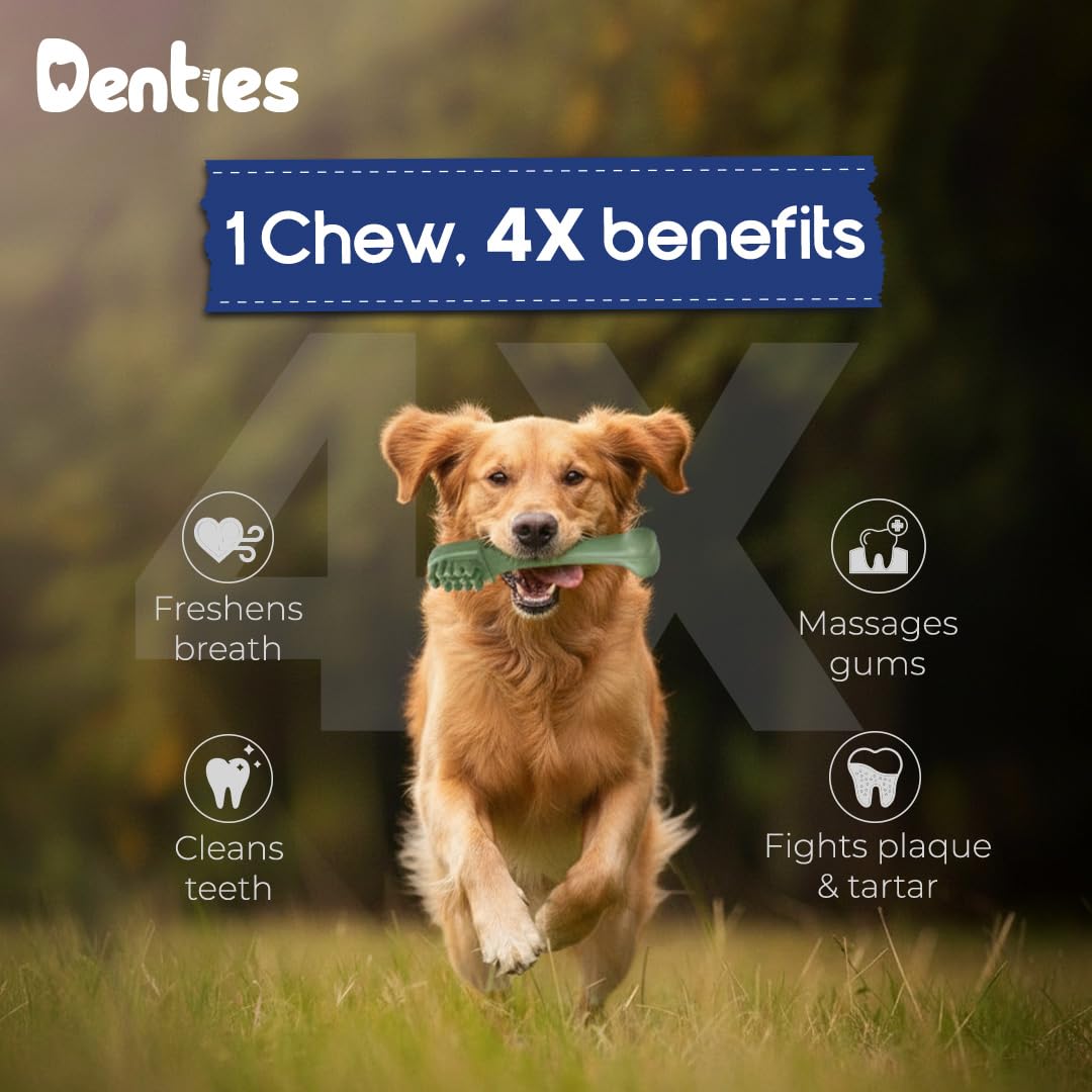 Dental Chews for Dogs 16oz 10 Count D484471