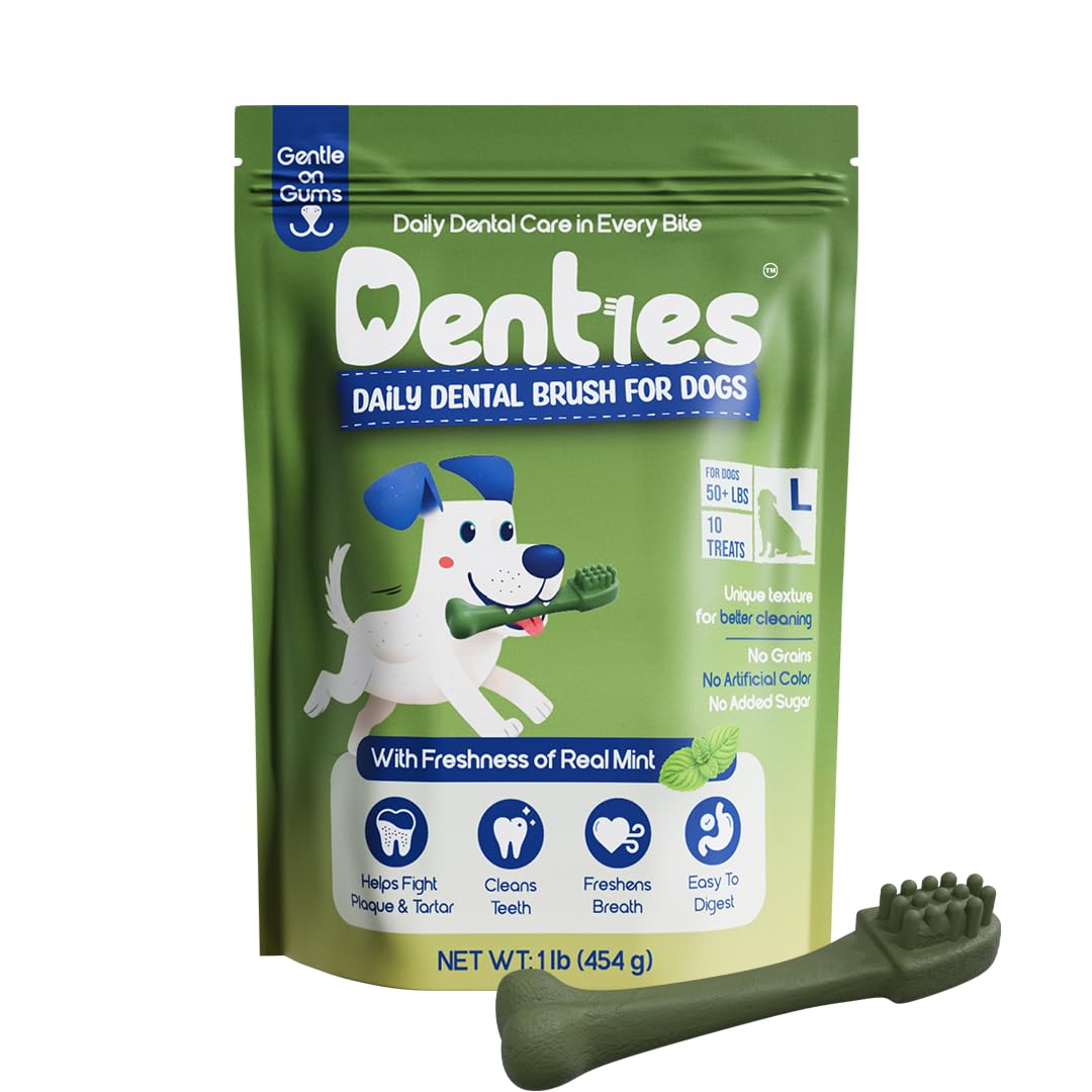 Dental Chews for Dogs 16oz 10 Count D484471