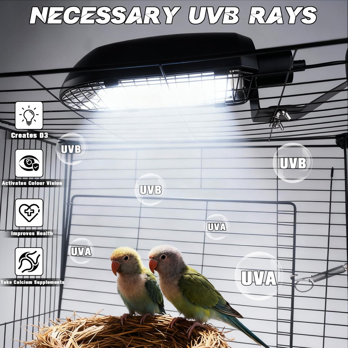 Bird Cage Light Fixture Combo Kit with Adjustable Timer U2405