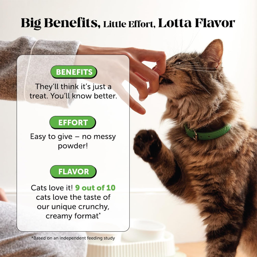 Chicken Cat Hairball Remedy Chews F55853