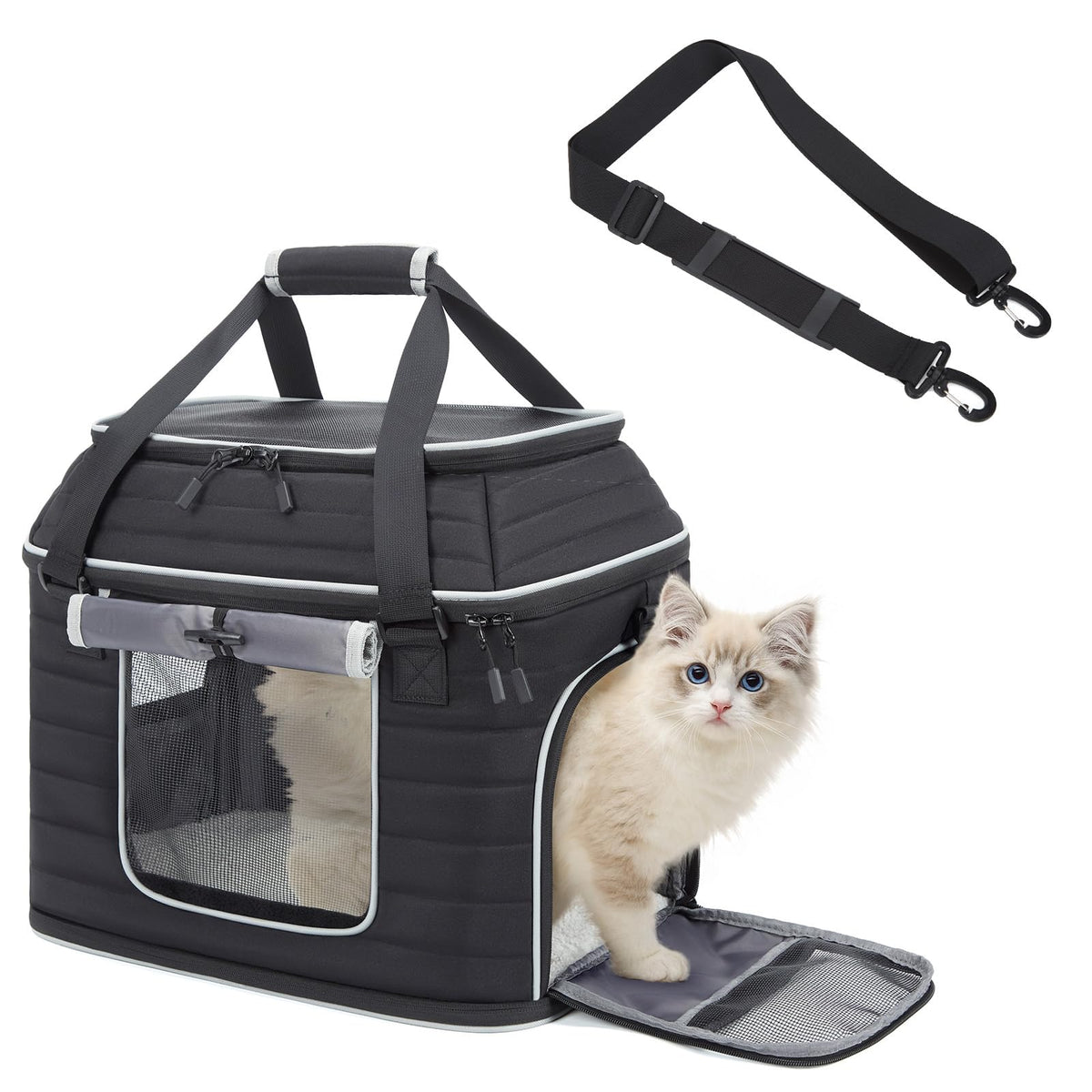 Airline Approved Soft-Sided Pet Carrier for Cats/Dogs Up to 20 Lbs F3625