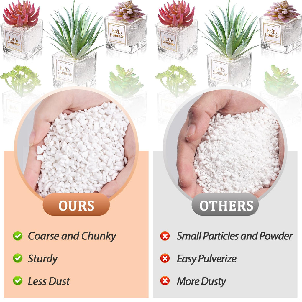 4QT Organic Horticultural Perlite Soil Amendment V879284