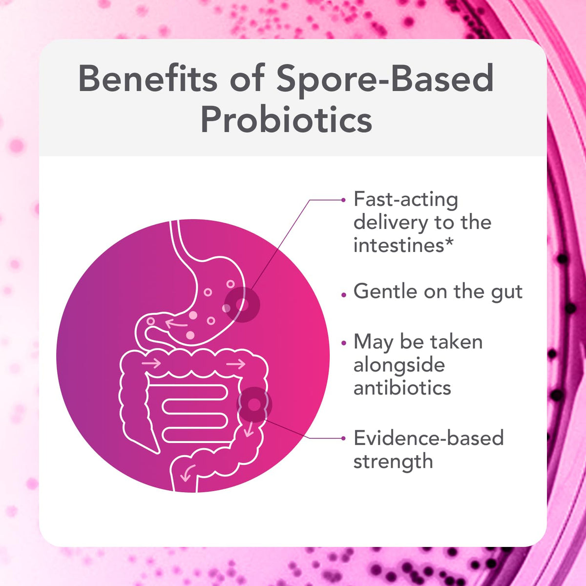 30 Count Spore Probiotic F79168