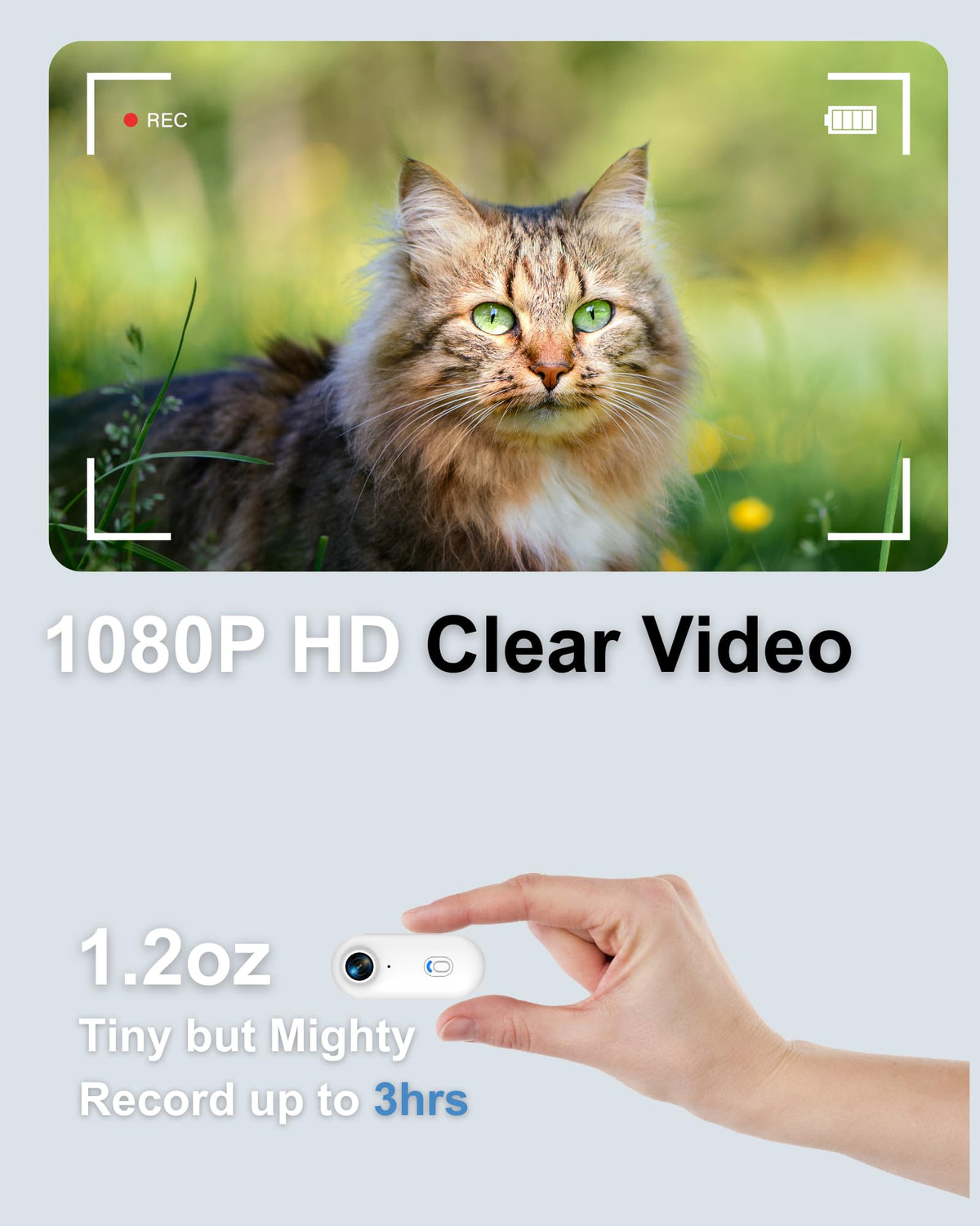 Cat Camera Collar with Location Tracker Q922523