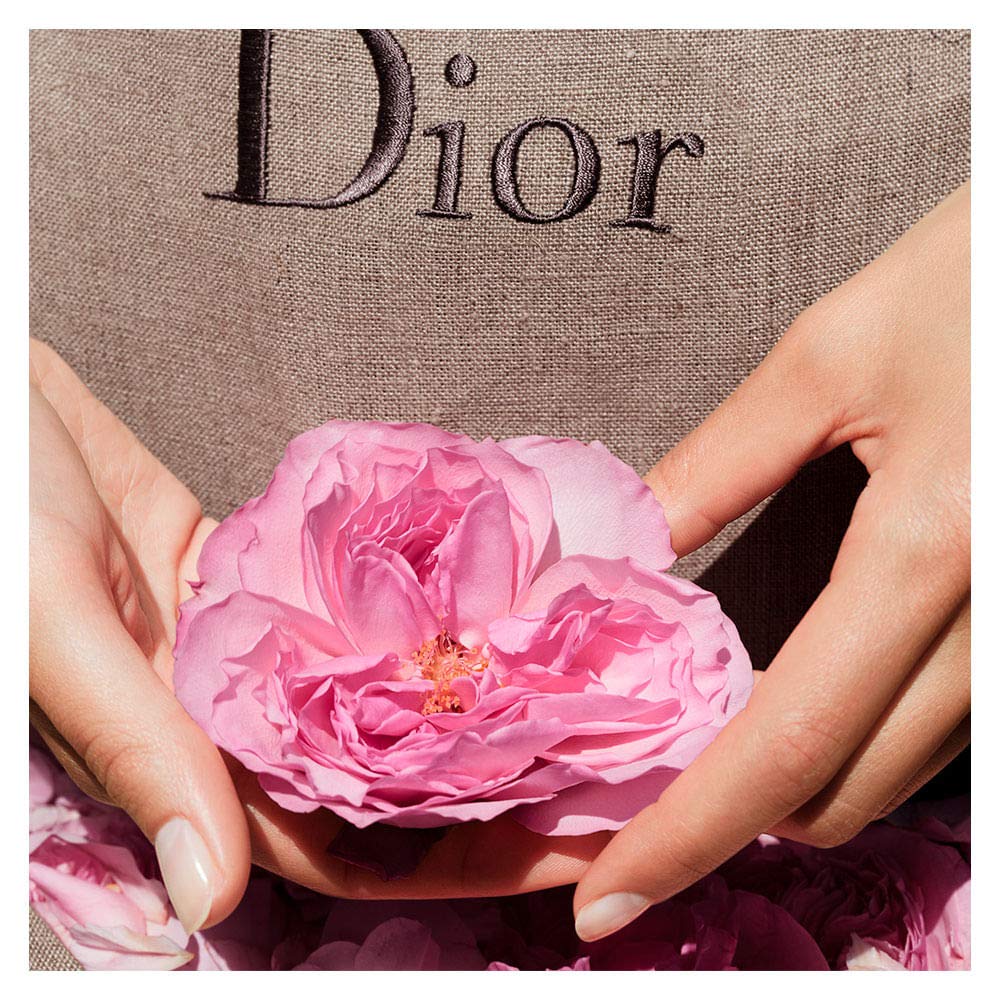 Rose EDT Spray 1.7 oz T1965