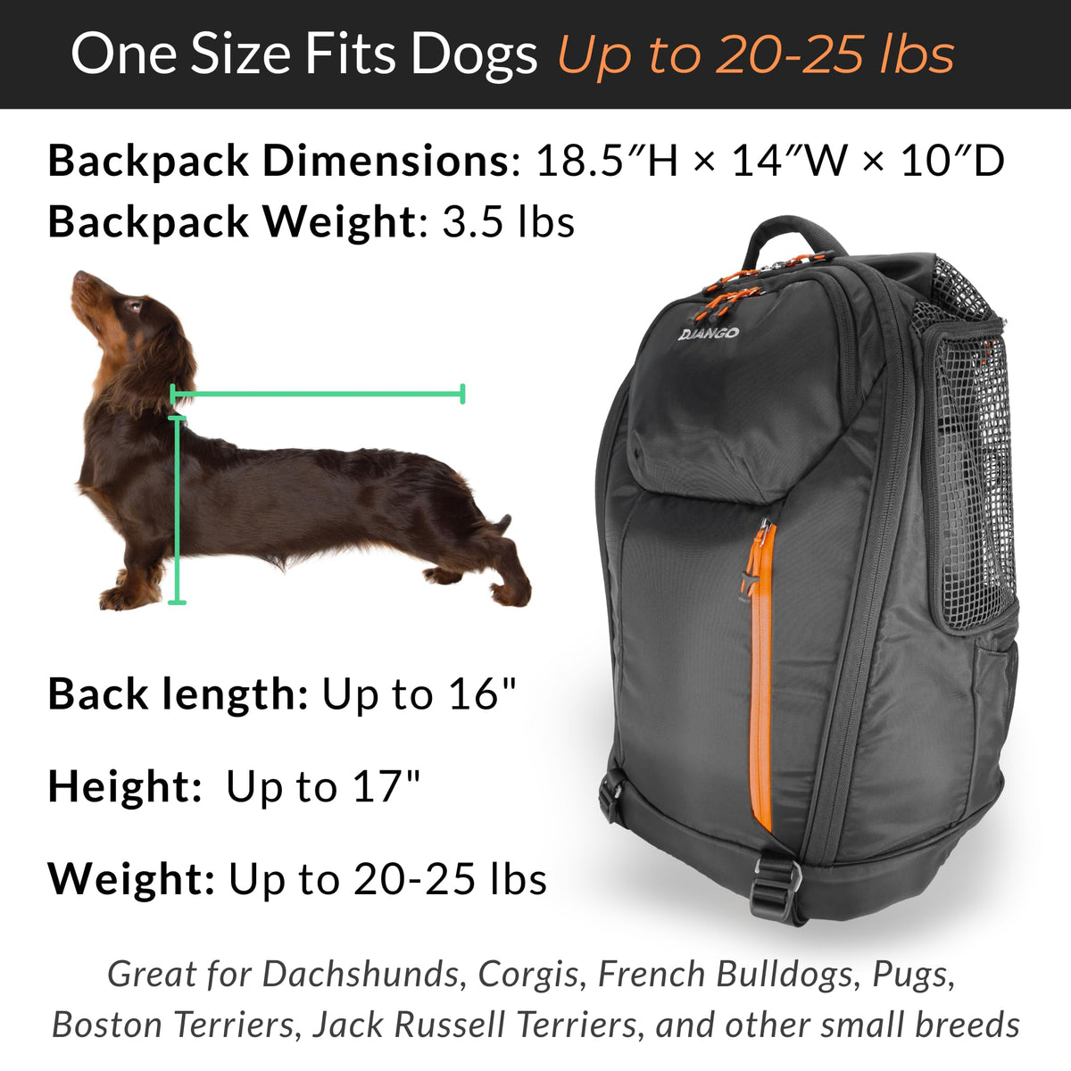 Dog Carrier Backpack C1940