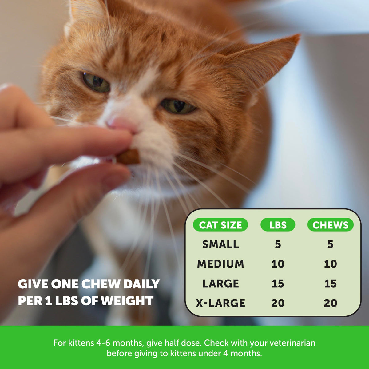 Chicken Cat Hairball Remedy Chews F55853