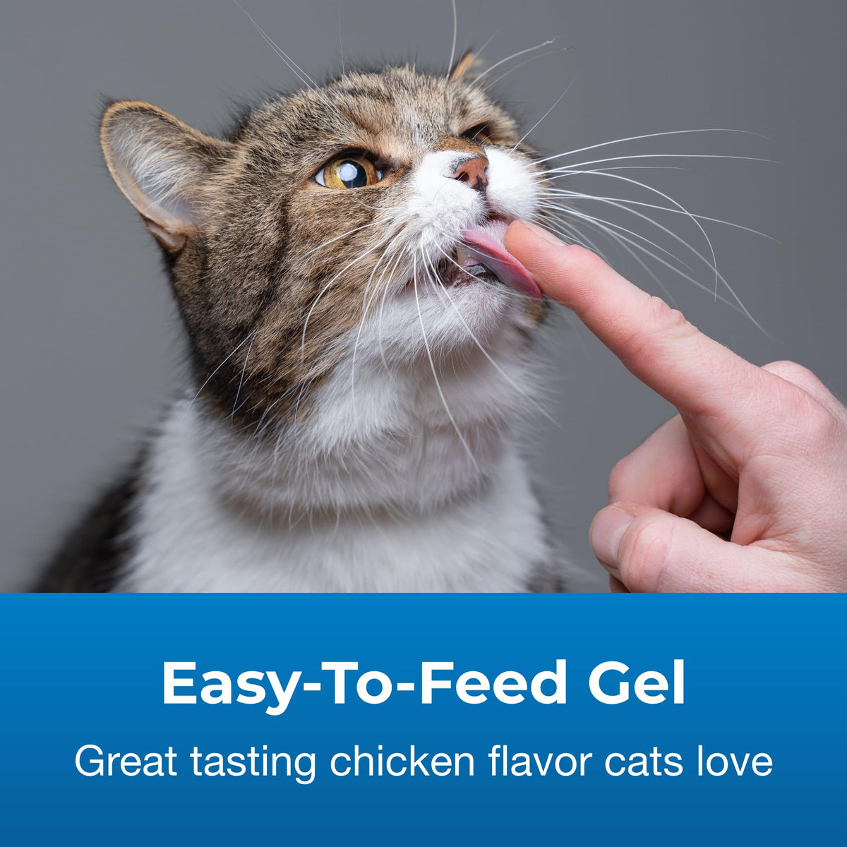 Hairball Solution Gel Supplement for Cats 3.5 oz Pack of 2 B64102