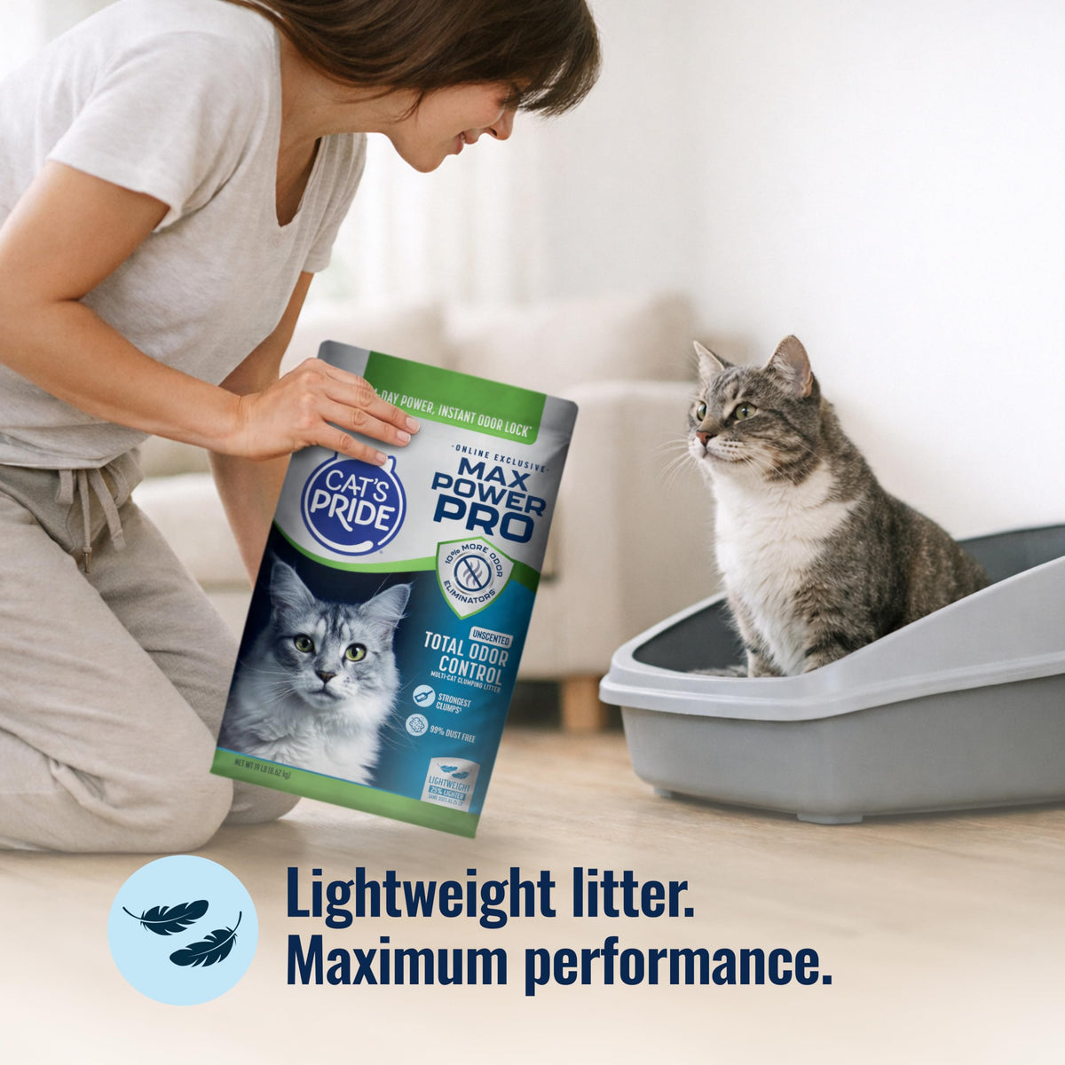 Unscented Clumping Litter 19lb D4536