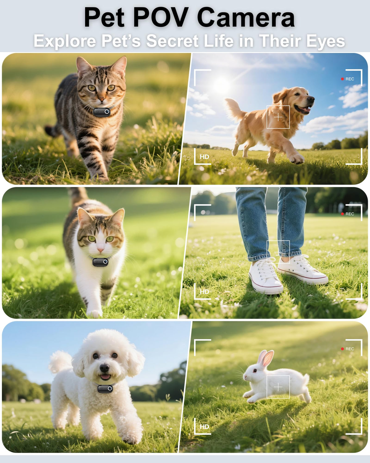 Cat Camera Collar with Location Tracker Q922523