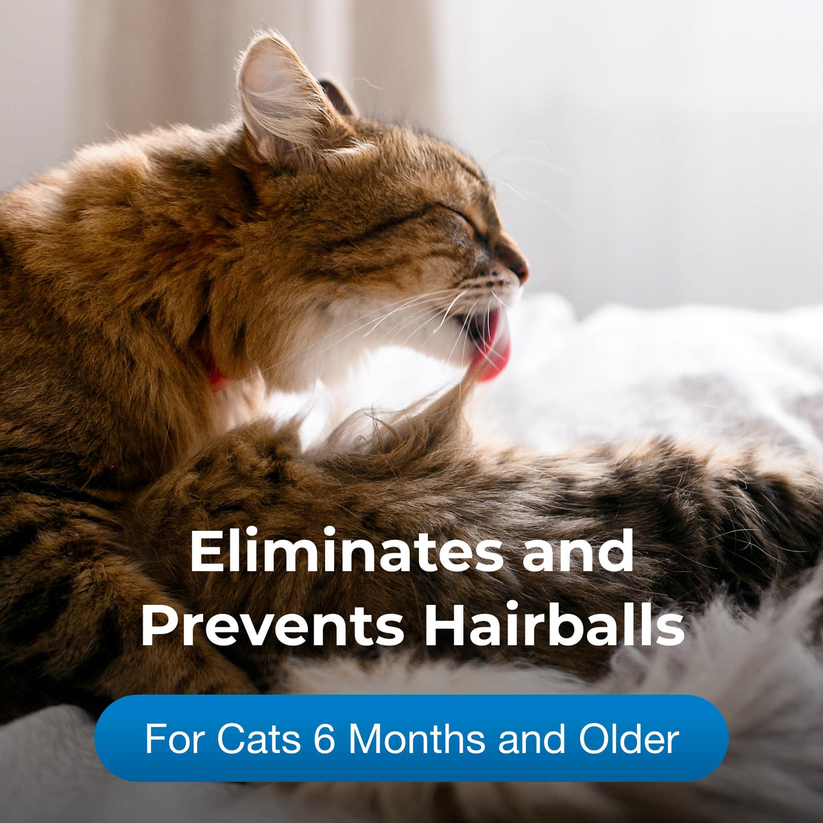 Hairball Solution Gel Supplement for Cats 3.5 oz Pack of 2 B64102