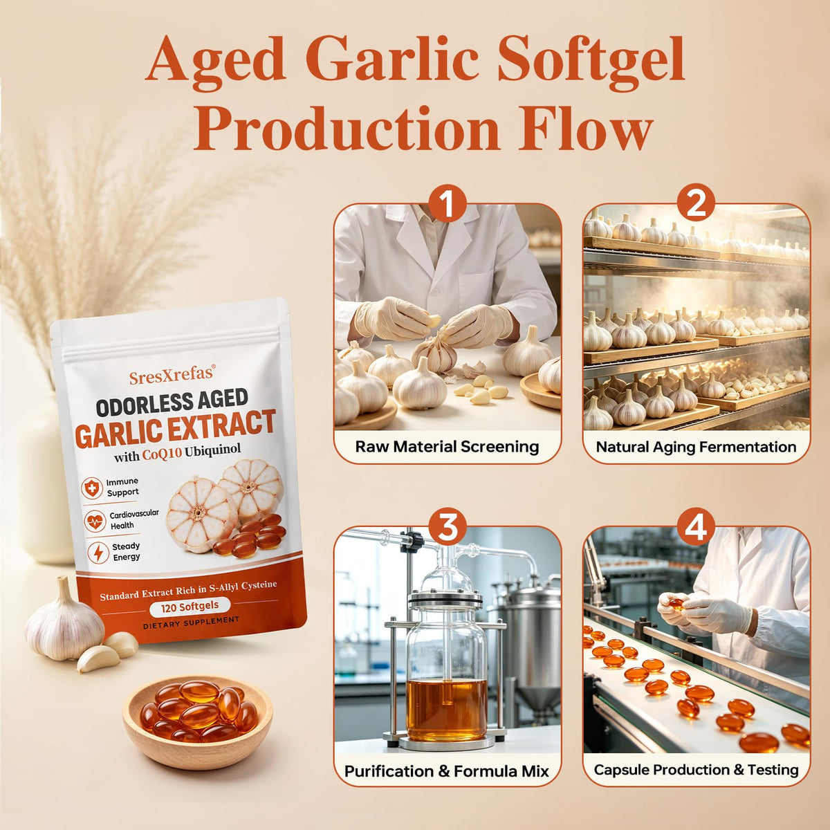 Aged Garlic Extract with CoQ10 Ubiquinol Softgels S852