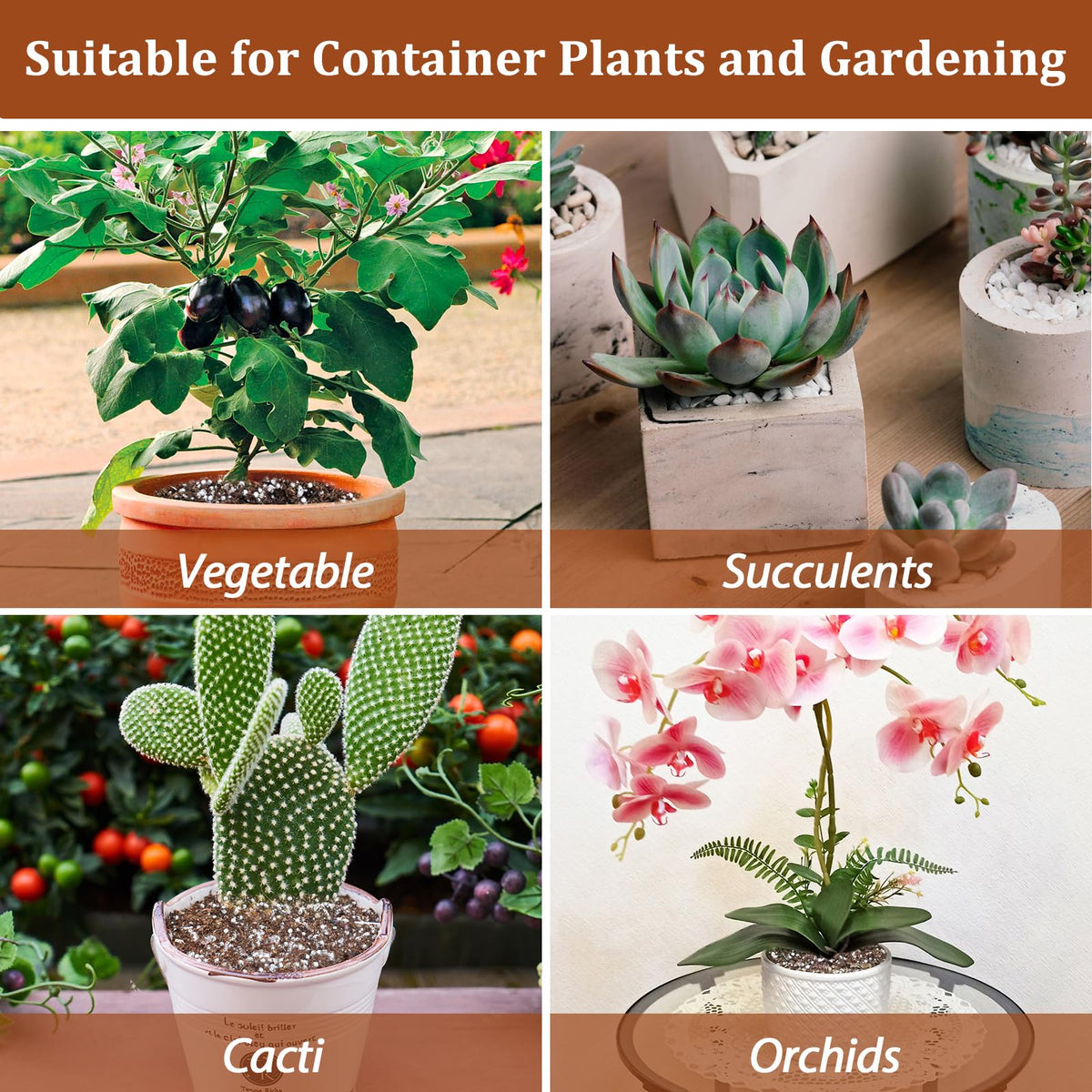 4QT Organic Horticultural Perlite Soil Amendment V879284