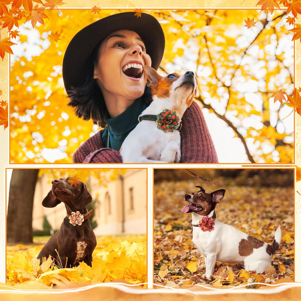 60 Pcs Fall Pet Bow H606