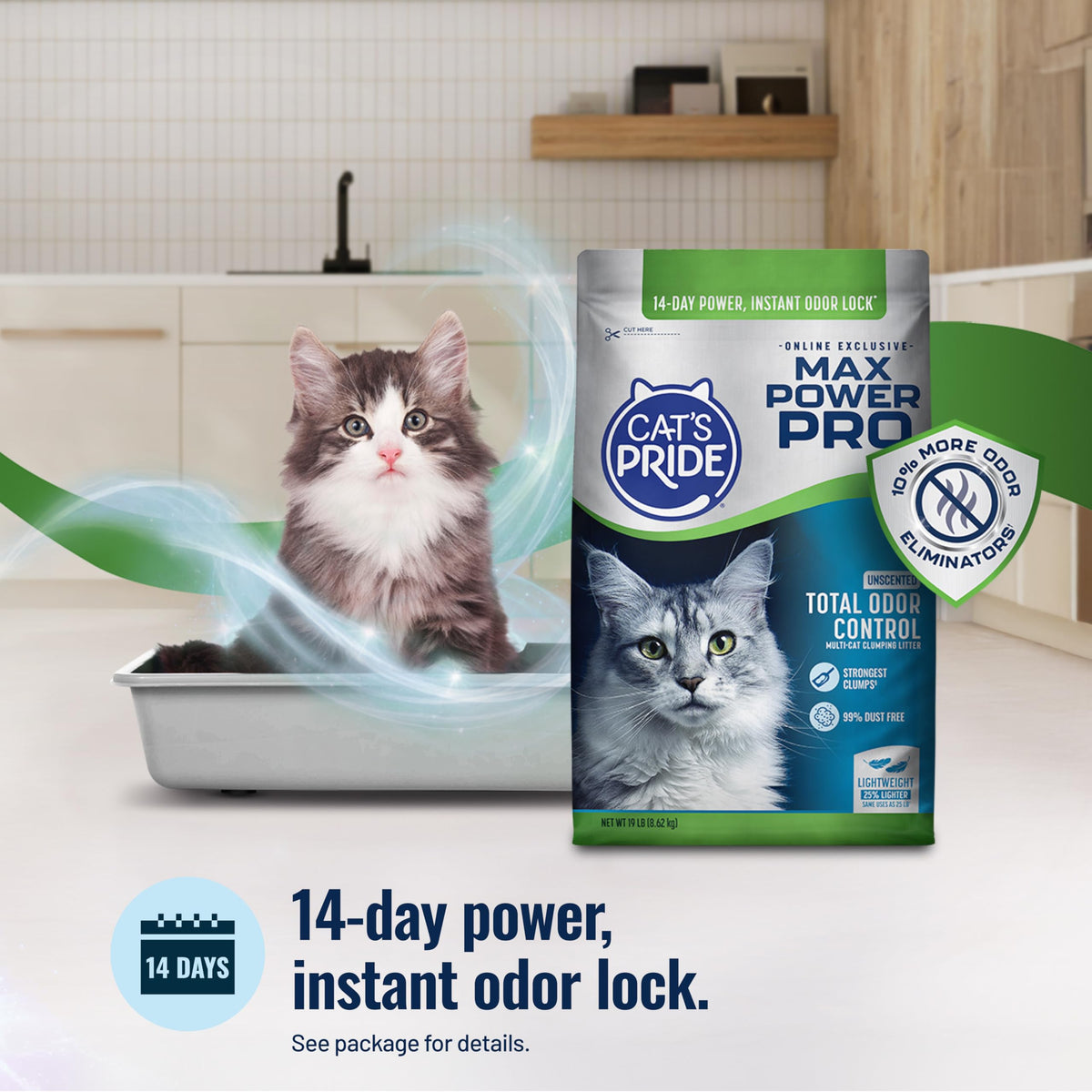 Unscented Clumping Litter 19lb D4536