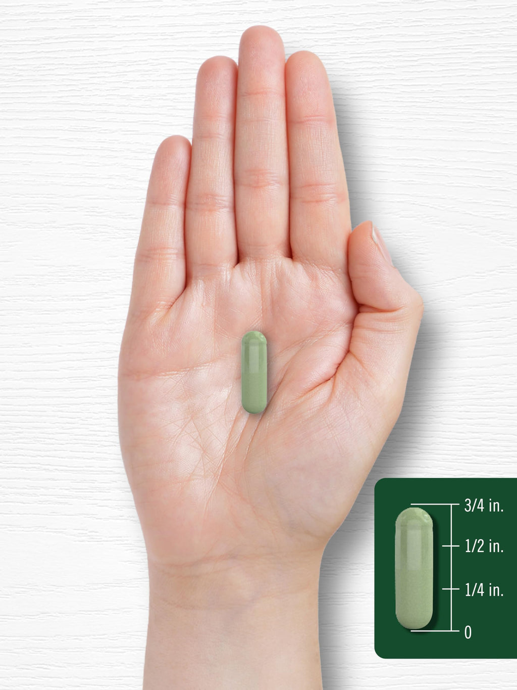 Moringa Oleifera Supplement 180 Capsules R138103