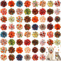 60 Pcs Fall Pet Bow H606